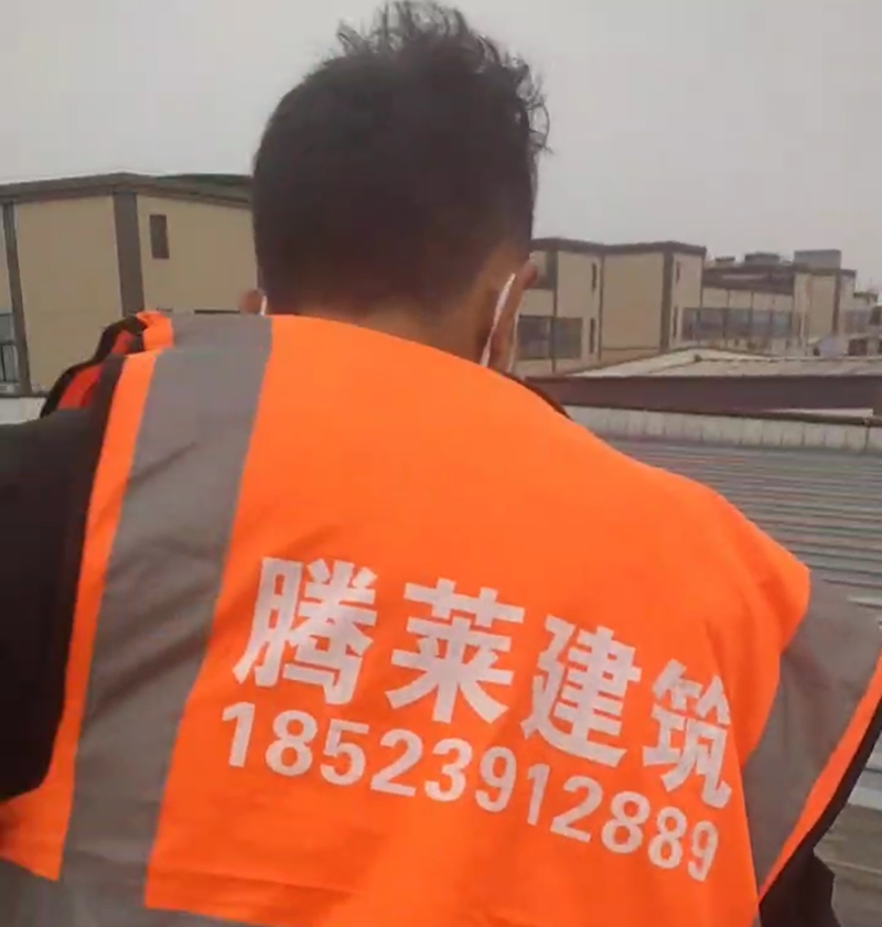 �����������ᱣ��